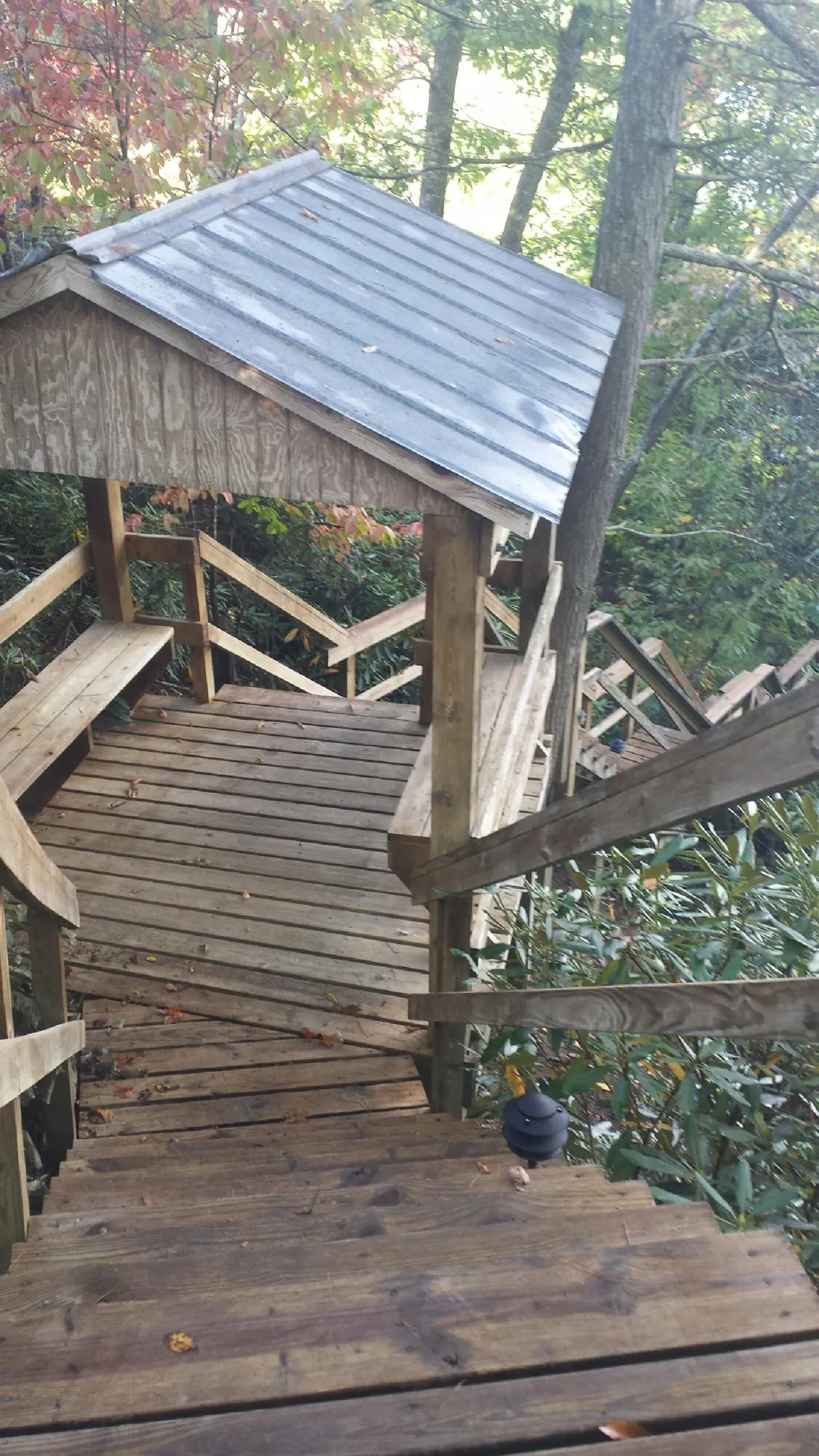 Metal roofed shelter over wooden steps on a wooded walkway — Skylight Repair & Installation work by our crew in Bertha